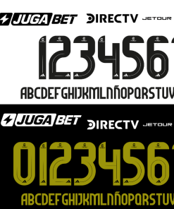 Parche De Nombre y Número De Colo-Colo 2025