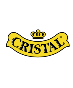 Parche Cristal Espalda 2006-2009